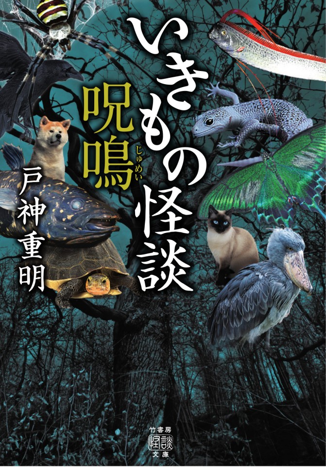 高崎怪談会２５　二人会　呪鳴